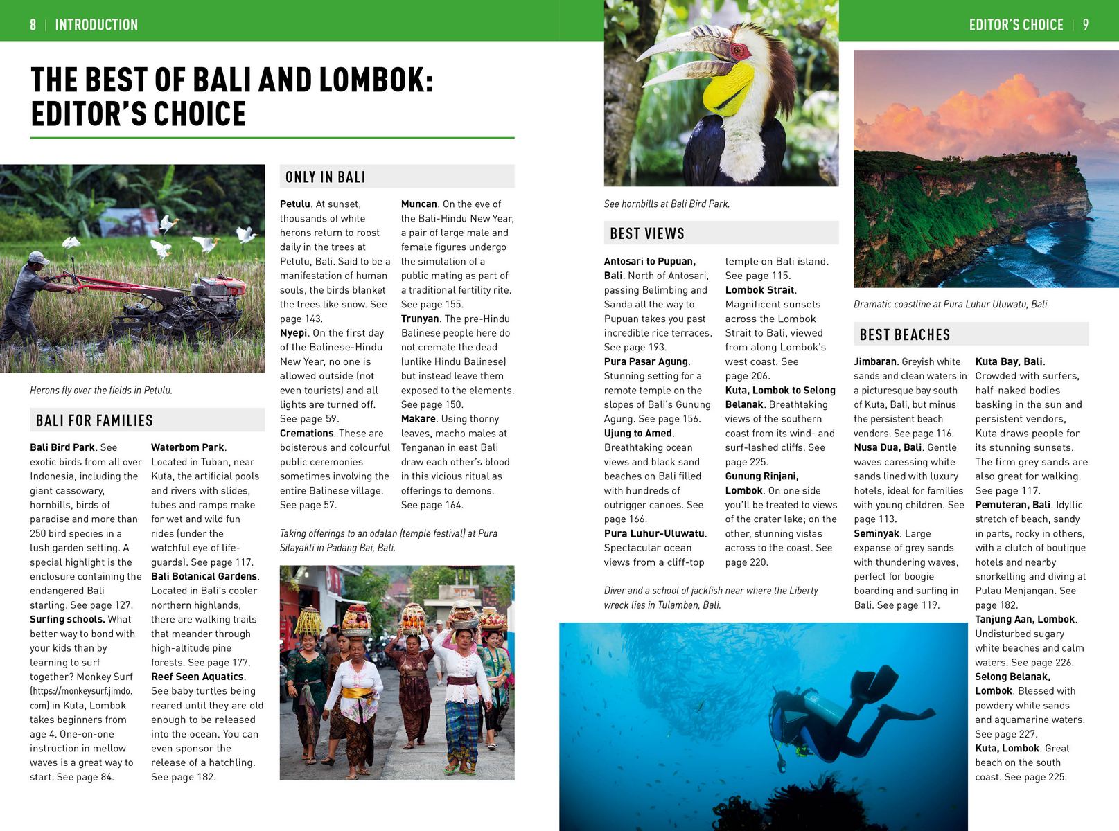 Insight Guides Bali and Lombok