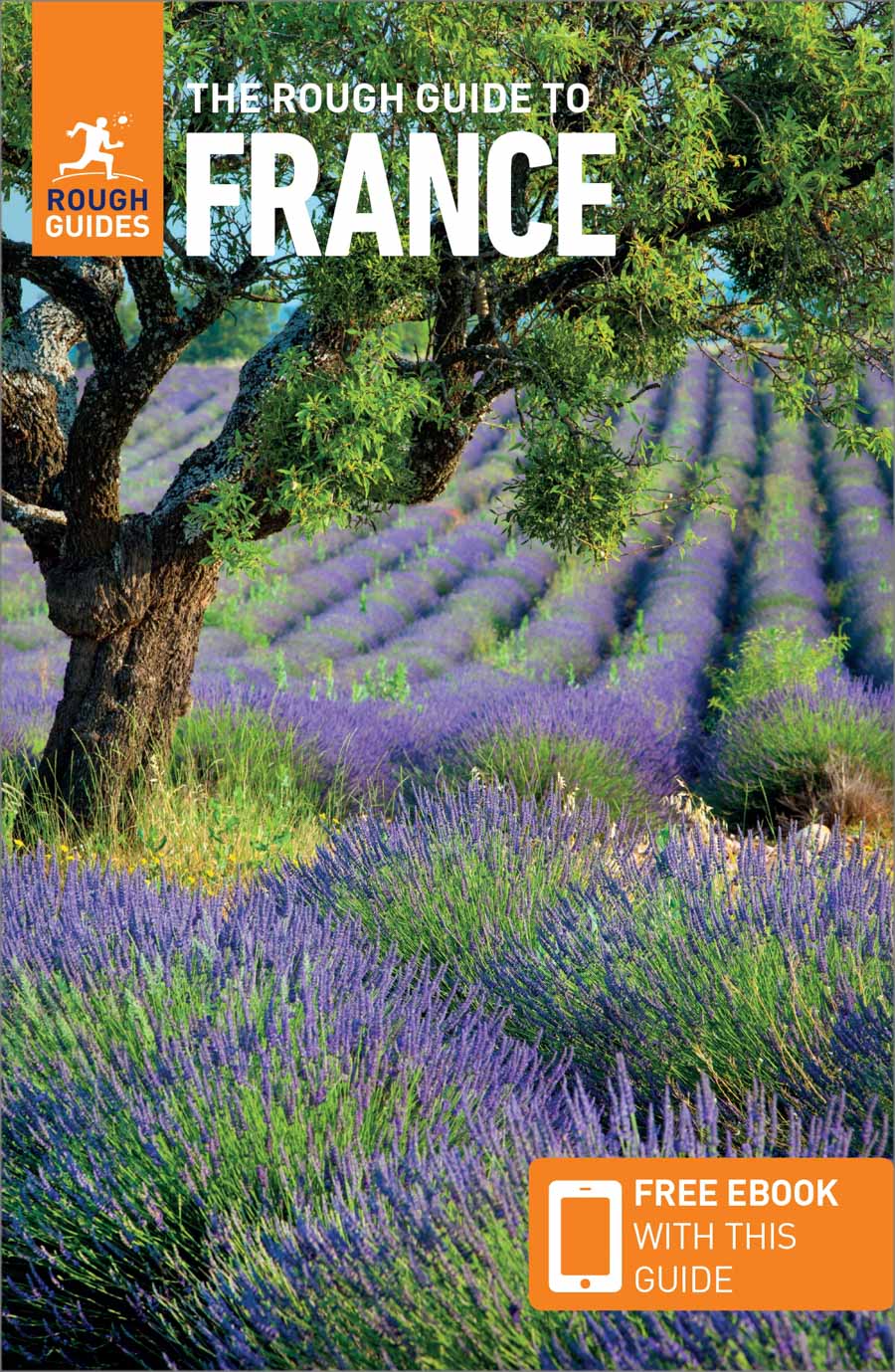 Rough Guide France